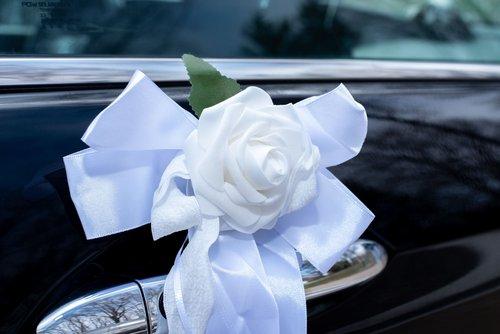 mobile - carousel-hero-element image-13