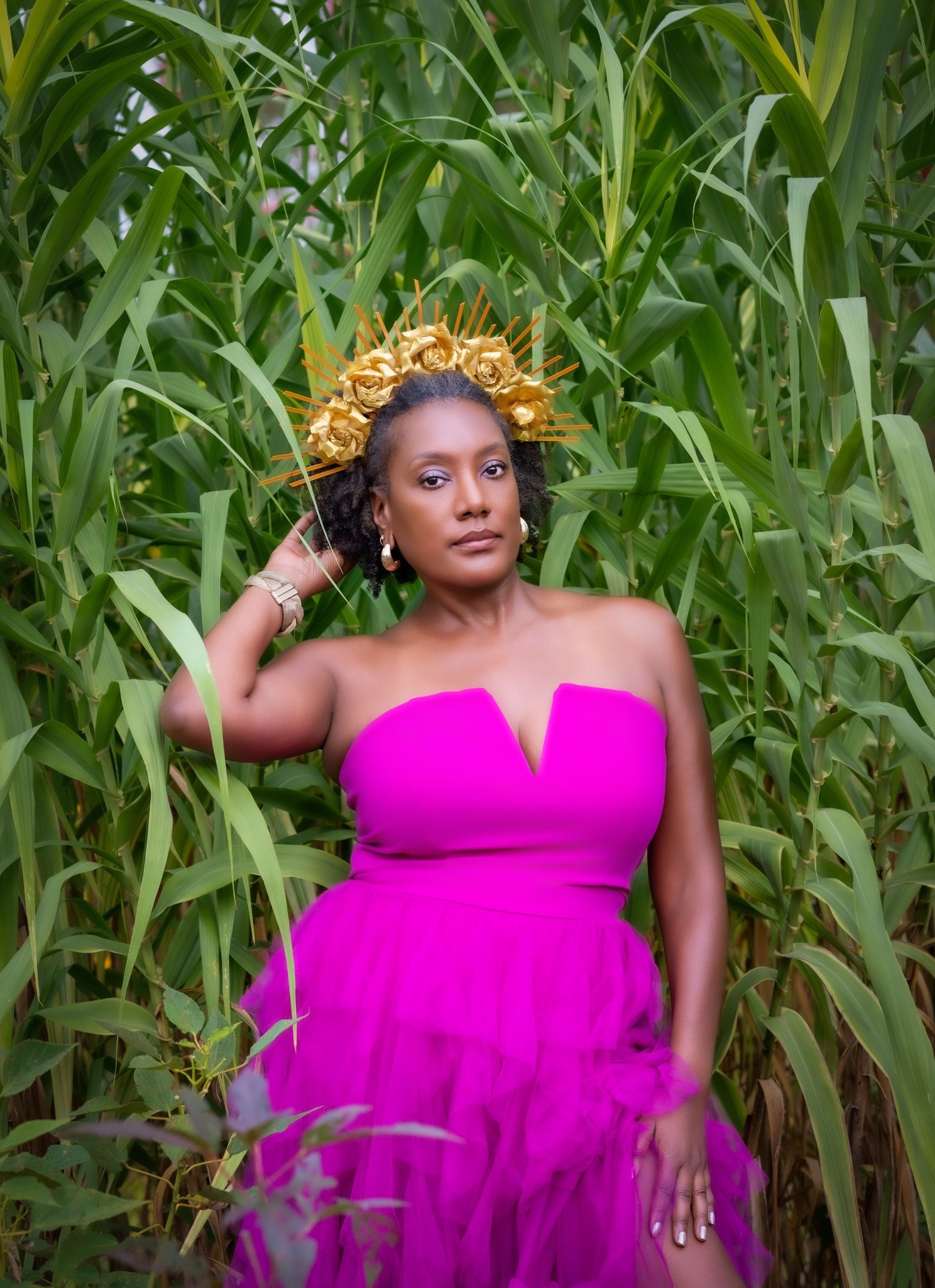 carousel-hero-element image-2