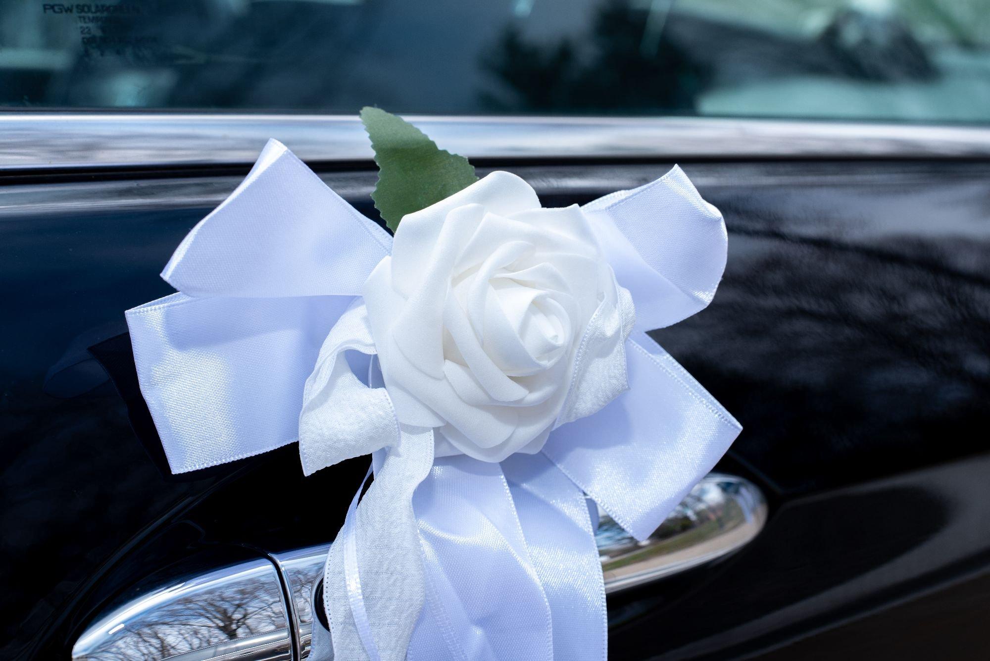 carousel-hero-element image-13